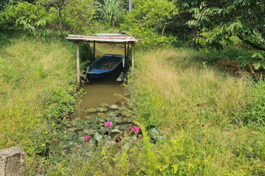 Voici ma plus belle et plus authentique visite du Vietnam : Le Delta du Mékong. Récit de mon expérience et conseils